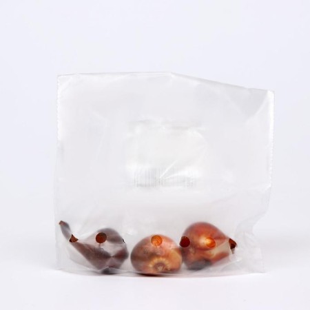 Mix Tulip 3 pcs, economy-1
