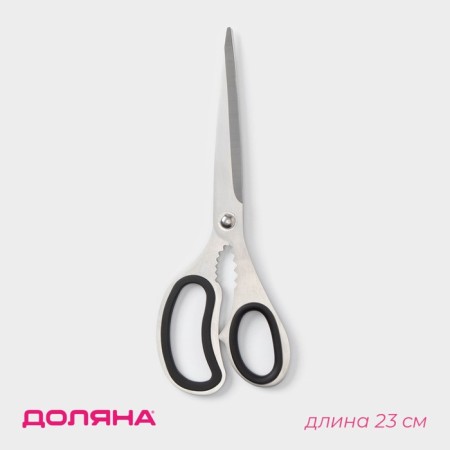 Scissors kitchen shares "Profi", 23 cm, black color