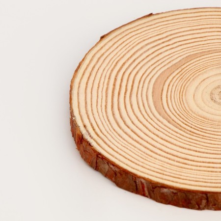 Wooden decor "Sawdal of a tree" Size: from 13 to14 cm-3