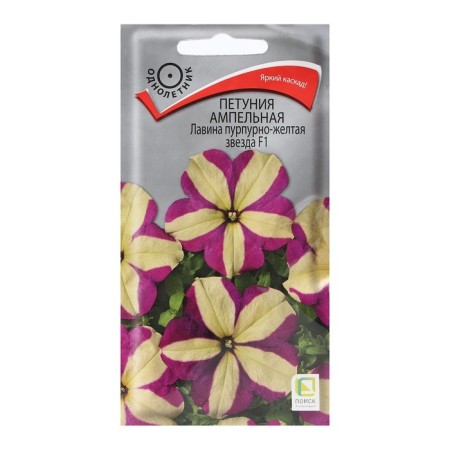 Petunia flowers ampel "avalanche purple-yellow star" F1 10 pcs