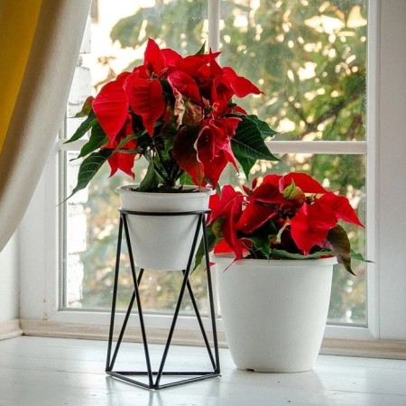 66-603-b stand 66-603-B per window sill 15x15x22 cm-2