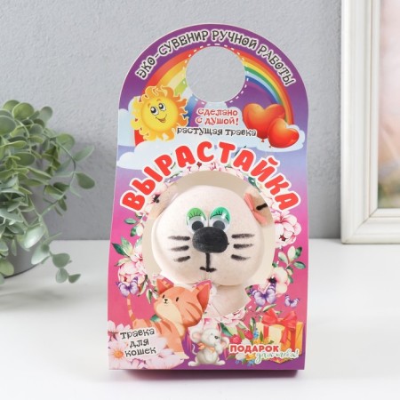 Growing gift grass growing "cat Murka" mix-8