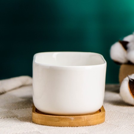 Pot "Eco Bonsai" oval, 17x9x6cm, white-1