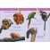 Encyclopedia for the kindergarten "Jungle"