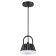 Gonna lamp, 1x10W LED, 4000K, 500LM, IP54, black color