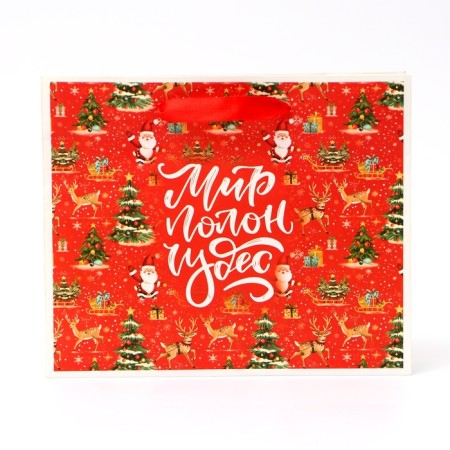 New Year. New Year's Paper Gift package, "world is full of miracles", 24 x 20 x 11 cm.-1