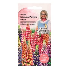 Flowers of Lupine 