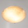 The lamp is wall-flowing "sugar" 2 lamps E27 40W d.300 h.5.5 cm.