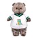 Soft toy "Basik in a T -shirt with a dragon", 25 cm