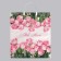 Package "Wild Roses", polyethylene with a plastic pen, 100 μm 44 x 40 cm
