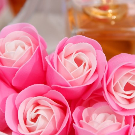 Soap rose, white-pink-6