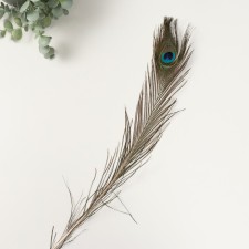 Decorative feather 