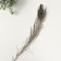 Decorative feather "Peacock" h = 70-80 cm