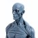 Model "Human Body" 29cm