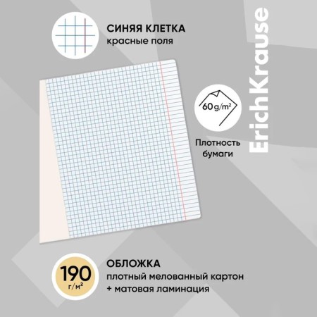 Notebook of 48 sheets in the Erichkrause Ceal "Find a cat", matte lamination, cover coated cardboard, offset unit, mix-9
