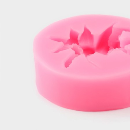 Mold Dolyana "Flowering", silicone, d = 7 cm, color mix-3