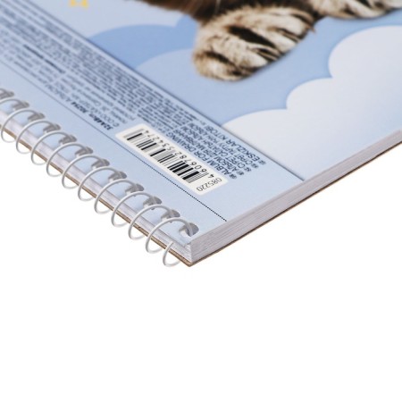 Album for drawing A4, 32 sheets on the crest "Fluffy Muzzles", covered cardboard, perforation for separation, block 100 g/m2, mix-7