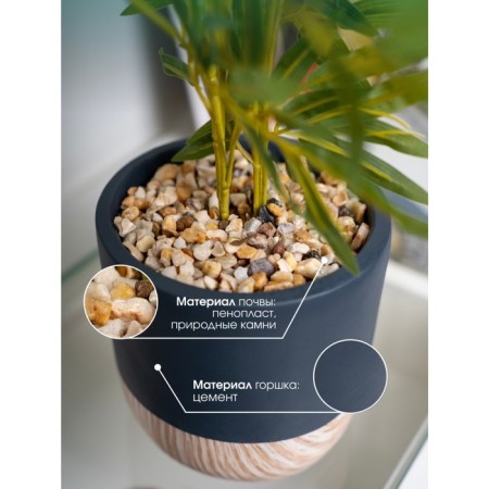 Bamboo in a cement pot, 125 × 125 × 650 mm, green / black / beige color-3