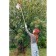 Fruiter with a bag, on a wooden cuttings, 120 cm, mix, Greengo