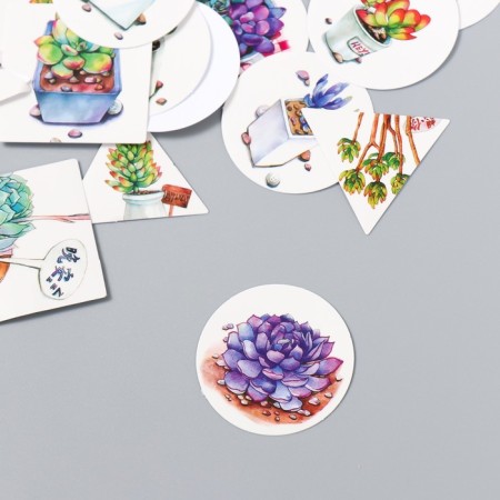 Set of stickers "succulents" 40 pcs in a box of 3.8x3.8 cm-1