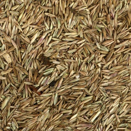 Lawn "Beauty", universal, 0.5 kg-3