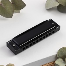 BEE DF10A Black, 10 holes, 20 tongues