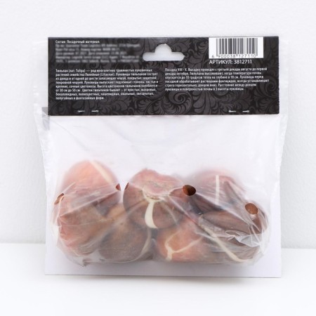 Tulip Lilian Tres Shik, river 11/12, 5 pcs, autumn 2024-3