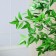 Artificial tree "Sheffler" 140 cm