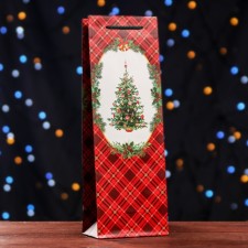 Package for a bottle Gift 
