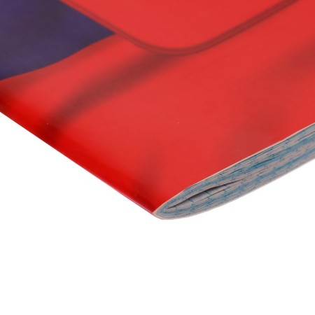 A4 notebook, 48 sheets in the Calligrata Call "Russia Tricolor", cover coated cardboard, block No. 2, whiteness 75% (gray sheets)-3