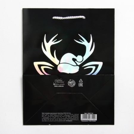 Packet Holography Vertical "New Year", MS 23 x 18 x 10 cm, New Year-4