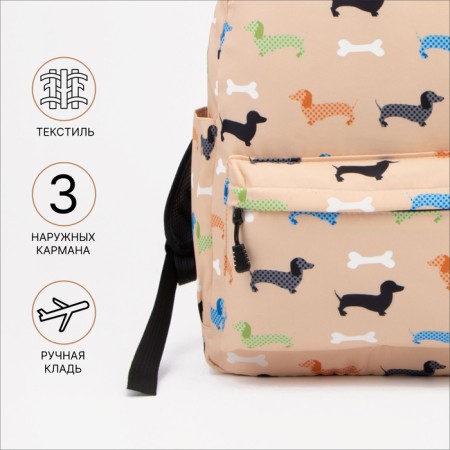 School backpack from lightning textiles, external pocket, pencil case, beige color-2