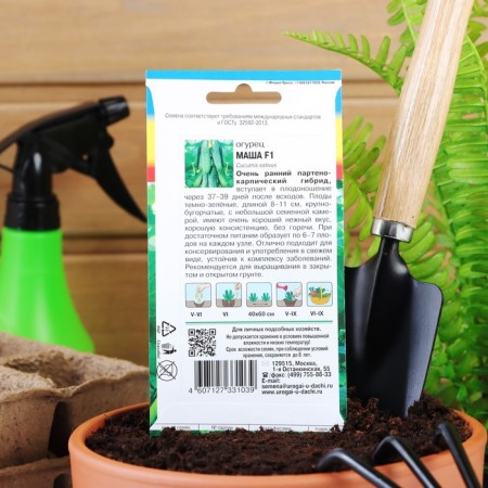 Cucumber seeds "Masha" F1, 0.2 g-3