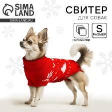 Clothing for dogs. Knitted sweater with 