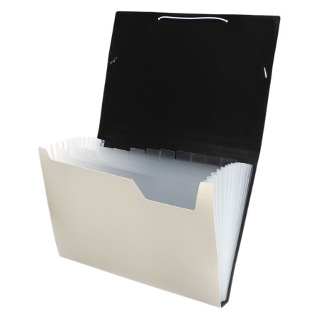 Folder file Calligrata Top Deluxe 13 Department. A4 plastic 1.0mm milk. Cut in color-1