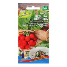 Seeds Radis 