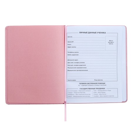 Universal Diary Grade 1-11, 48 sheets "Pink sneakers", solid cover of artificial leather, pancake embossing, rhinestones, embossing foil, block offset-6