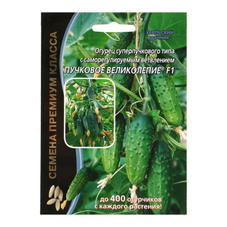Seeds of cucumber "Board splendor" F1 is early, bundle, parthenocarpic, 5 pcs-4