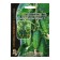 Seeds of cucumber "Board splendor" F1 is early, bundle, parthenocarpic, 5 pcs