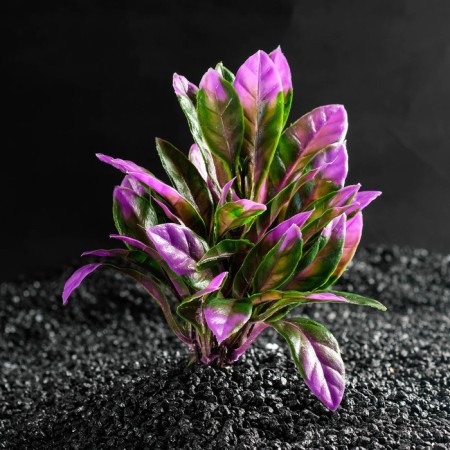 Artificial Aquarium plant, 15 x 15 x 12 cm-1