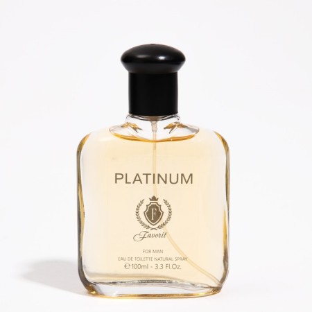 Men's toilet water Favorit Platinum, 100 ml (based on Egoiste Platinum (Chanel)-3