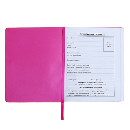 Universal Diary Grade 1-11, 48 sheets "Orange", solid cover of artificial leather, foil embossing-11