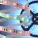 Elektrostandard LED strip, IP20, 5050, 30LED/m, 12V, RGB