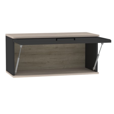 Cabinet hinged Aurelio 4, 800 × 355 × 362 mm, color Anthracite / Blackwood satin-1