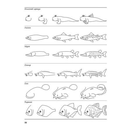 I can draw 1000 things. Pautner N.-4