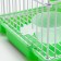 Rodent cell equipped RT-2T, 22 x 16 x 20 cm, green