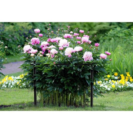 Builder, d = 56 cm, h = 55.5 cm, steel, black-1