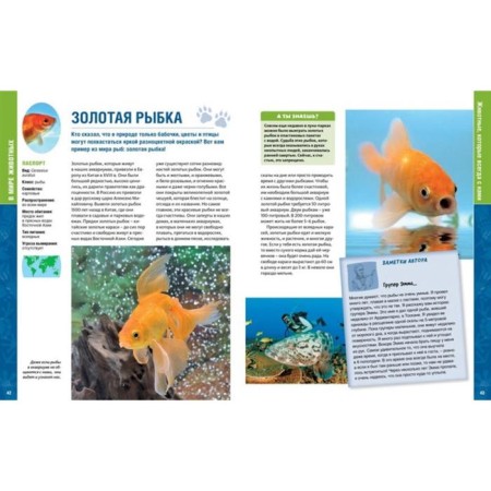 Encyclopedia. In the animal world-2