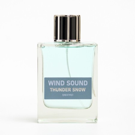 Toilet water male "Sound of the Wind", "Snow Thunderstorm", 100 ml-4