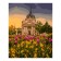 Picture on numbers canvas on a subframe 40 × 50 cm "Spring Park"